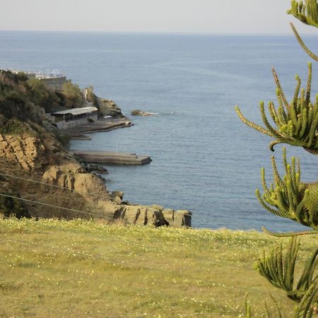 Evita Bay Agia Pelagia Heraklion Room photo